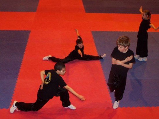 club de kung-fu de Givors - école tigre et dragon