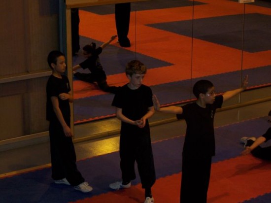 club de kung-fu de Givors - école tigre et dragon