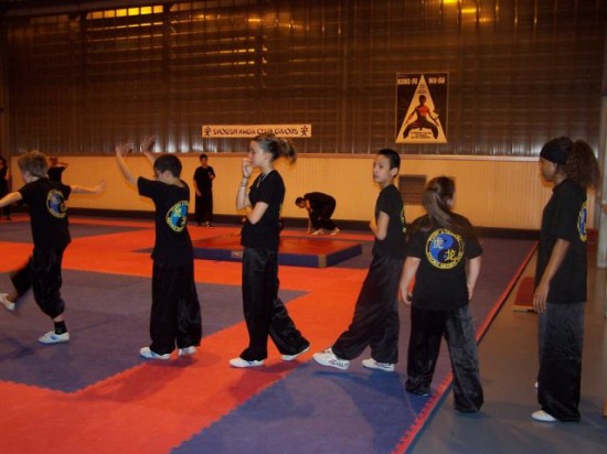 club de kung-fu de Givors- école tigre et dragon